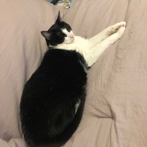 Meet your Posher, Mary